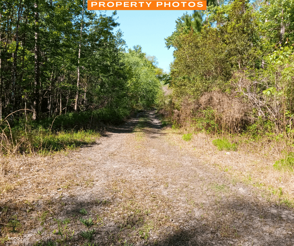 Prime 1.25 Acres in Palatka, FL!