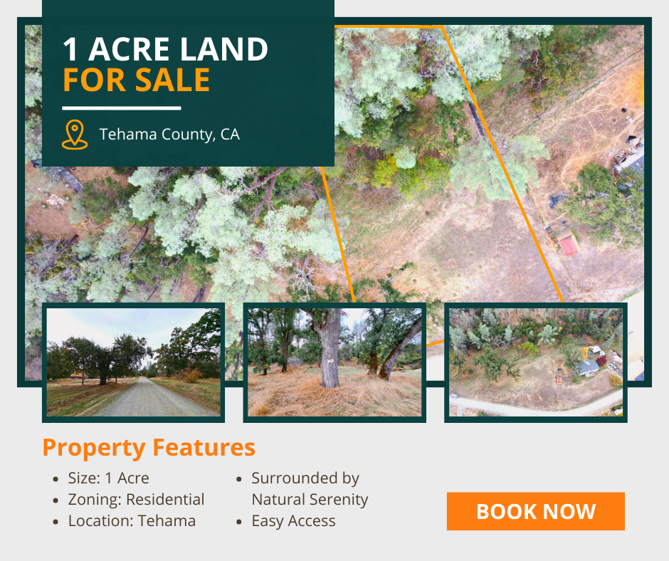 Discover the Beauty of Tehama: 1 Acre of Pristine Land in Tehama County, California!