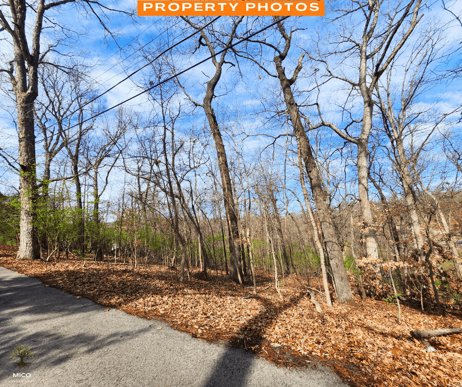 Amazing 0.28 acre in Missouri!
