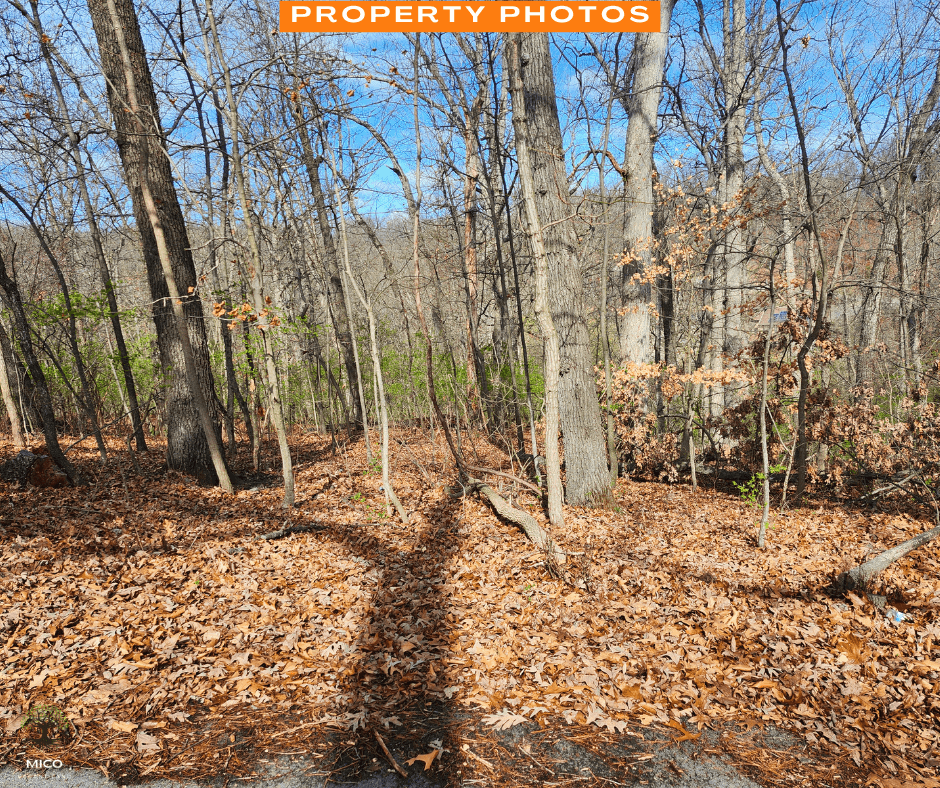Amazing 0.28 acre in Missouri!