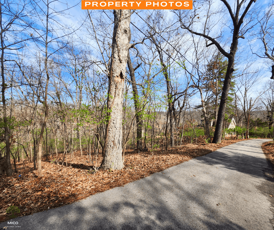 Amazing 0.28 acre in Missouri!