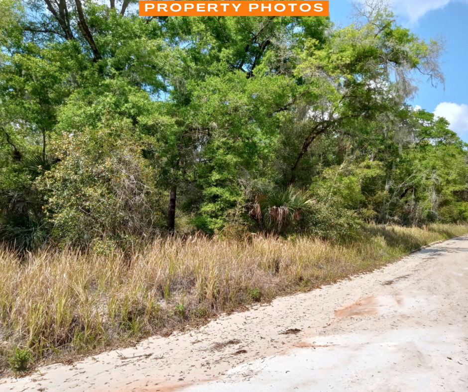 0.64 Acres in Pomona Park, FL!