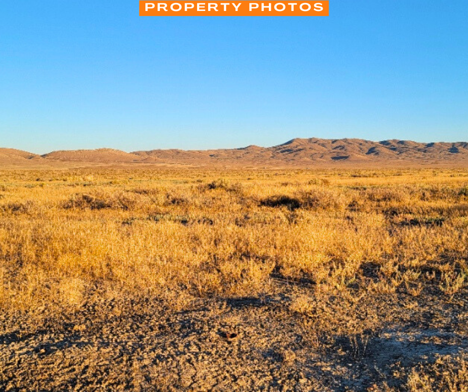 A 0.31 Acre Property with Gorgeous Views in Golconda, Nevada!