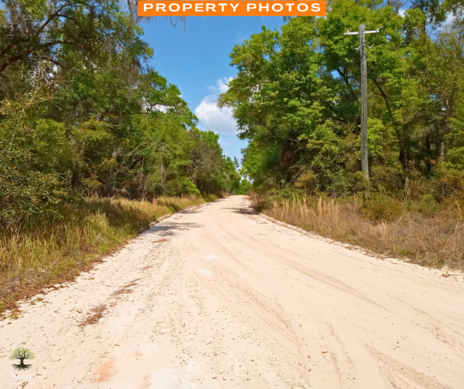 0.64 Acres in Pomona Park, FL!