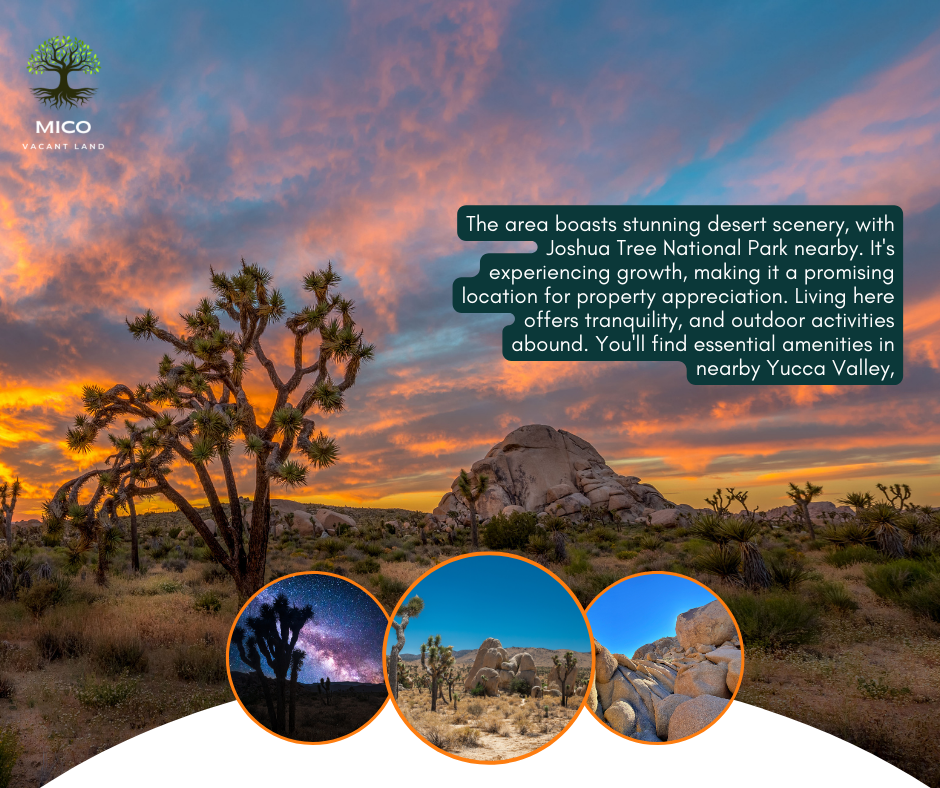 Build, Invest, Create: 5-acre Vacant Land Opportunity in Landers, CA!