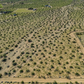 Build, Invest, Create: 5-acre Vacant Land Opportunity in Landers, CA!