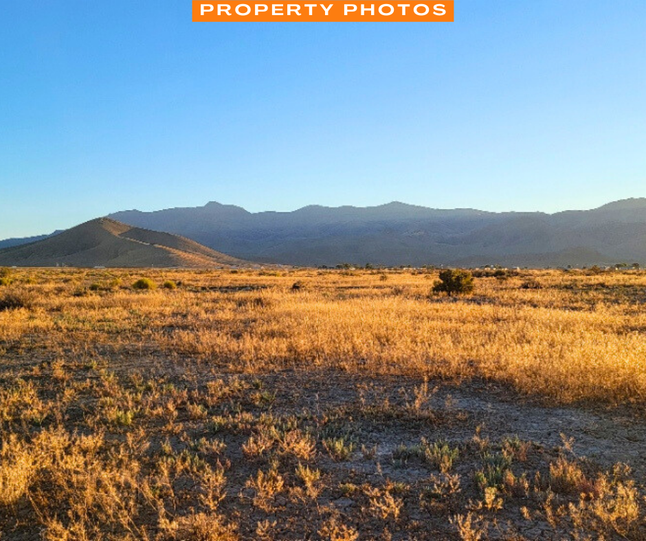 A 0.31 Acre Property with Gorgeous Views in Golconda, Nevada!