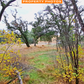 Discover the Beauty of Tehama: 1 Acre of Pristine Land in Tehama County, California!