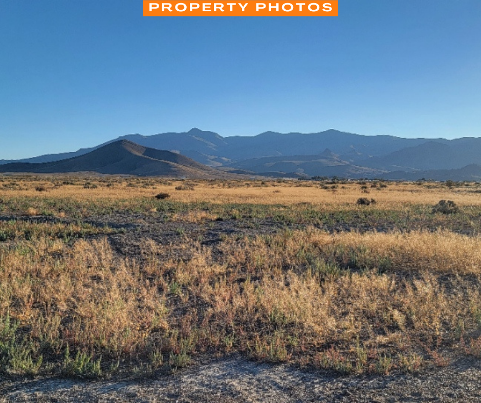 An Amazing 0.4 Acre Property in Golconda, Nevada!