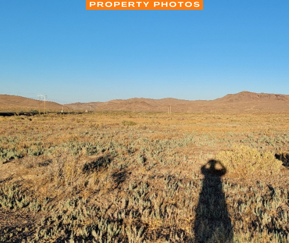 An Amazing 0.4 Acre Property in Golconda, Nevada!