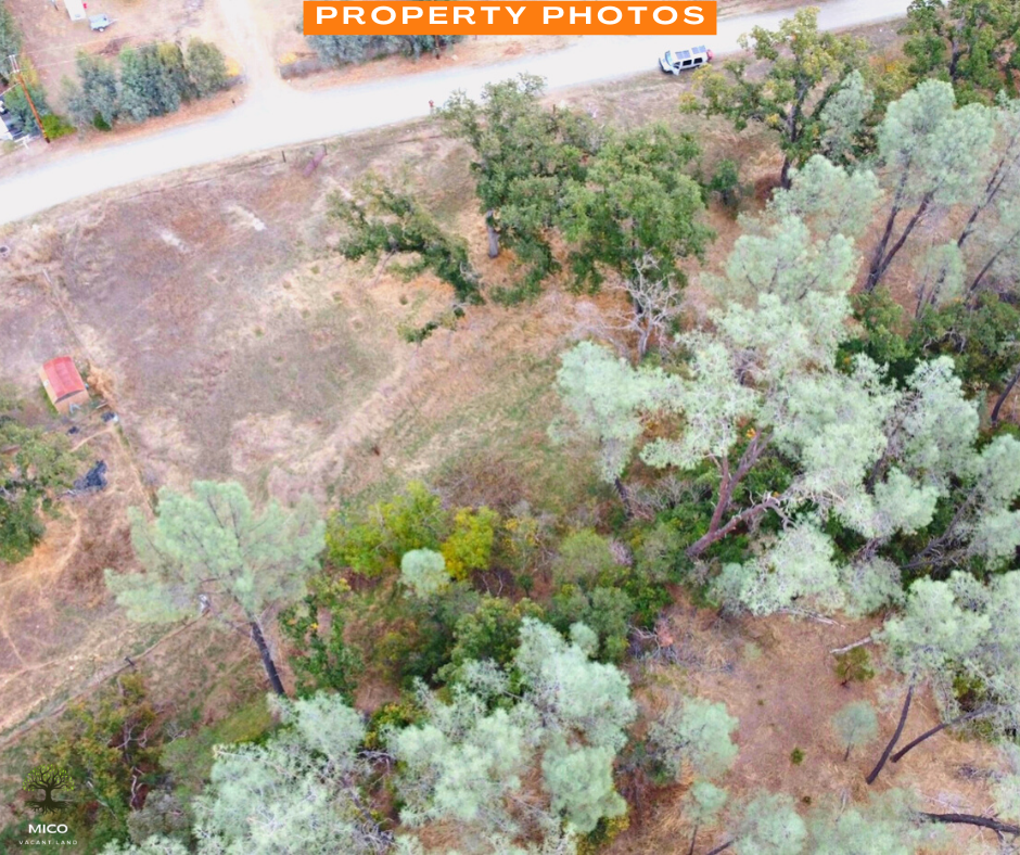 Discover the Beauty of Tehama: 1 Acre of Pristine Land in Tehama County, California!