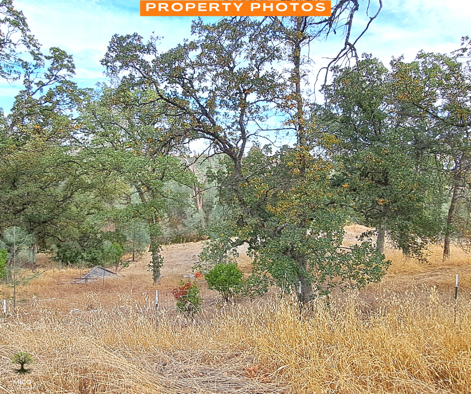 Amazing 1.26 Acres of Land for Sale in Tehama County