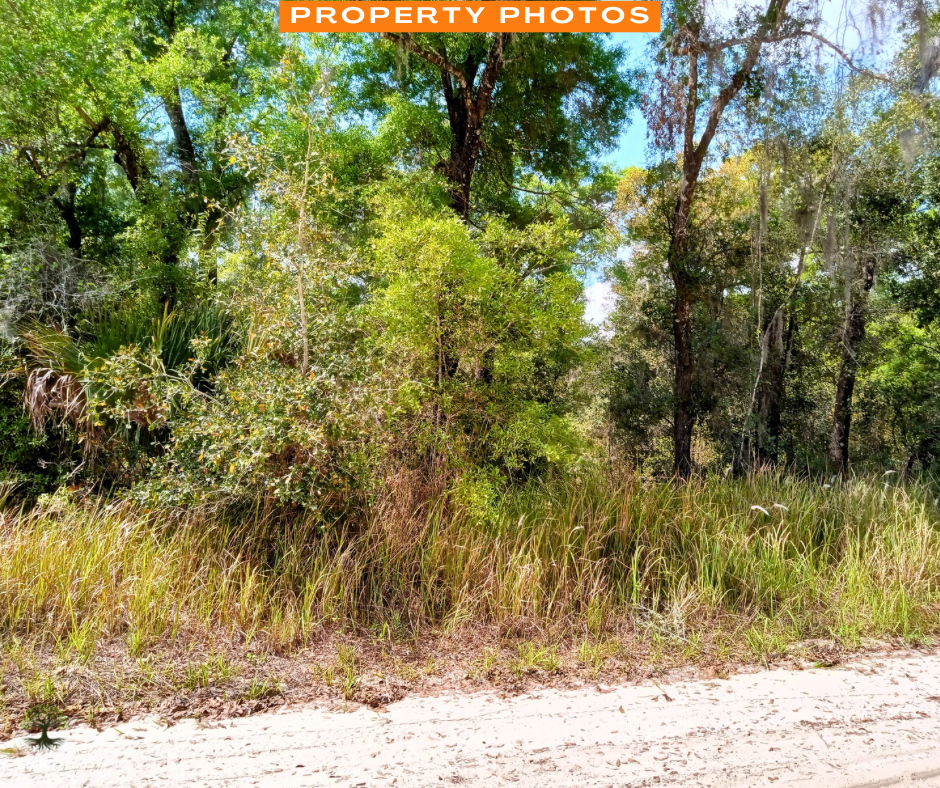 0.64 Acres in Pomona Park, FL!