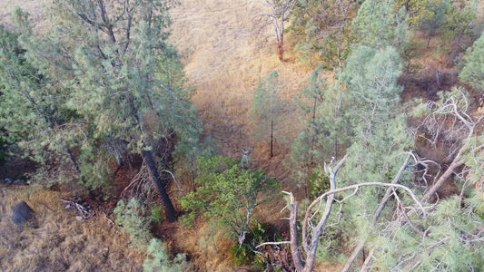 ¡Terreno de 1,25 acres en venta en Yucca Valley, CA!