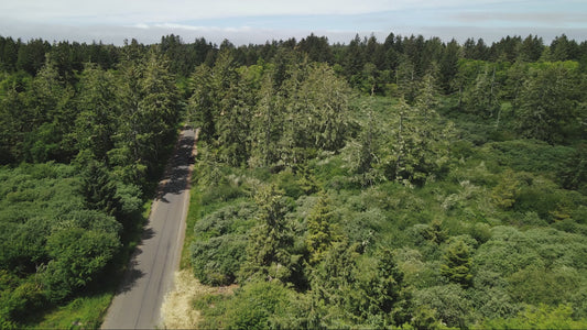 ¡1,3 acres de terreno residencial vacante a la venta en Long Beach, Washington!