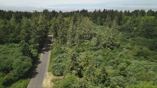 1.3 Acres of Vacant Residential Land for Sale in Long Beach, Washington!