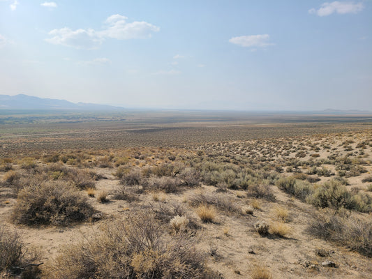 20 Acres Property Available in Golconda, NV
