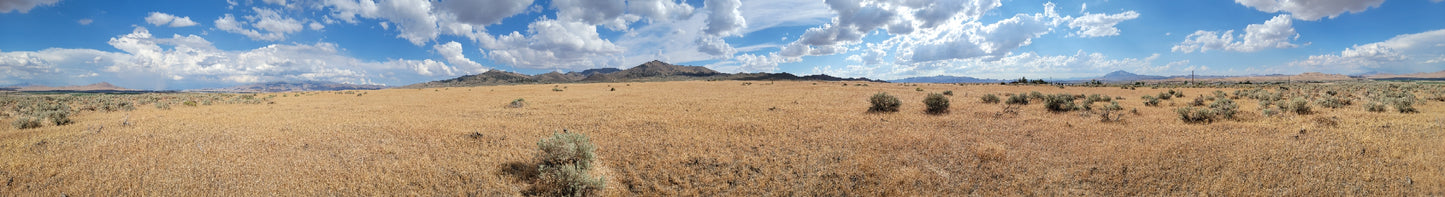 A 10 Acre Lot for Sale in Nevada!