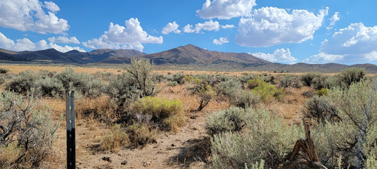 ¡Un lote de 10 acres a la venta en Nevada!