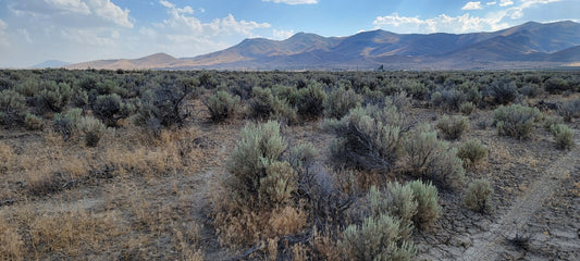 ¡Vistas increíbles en este lote de 10 acres a la venta en Nevada!