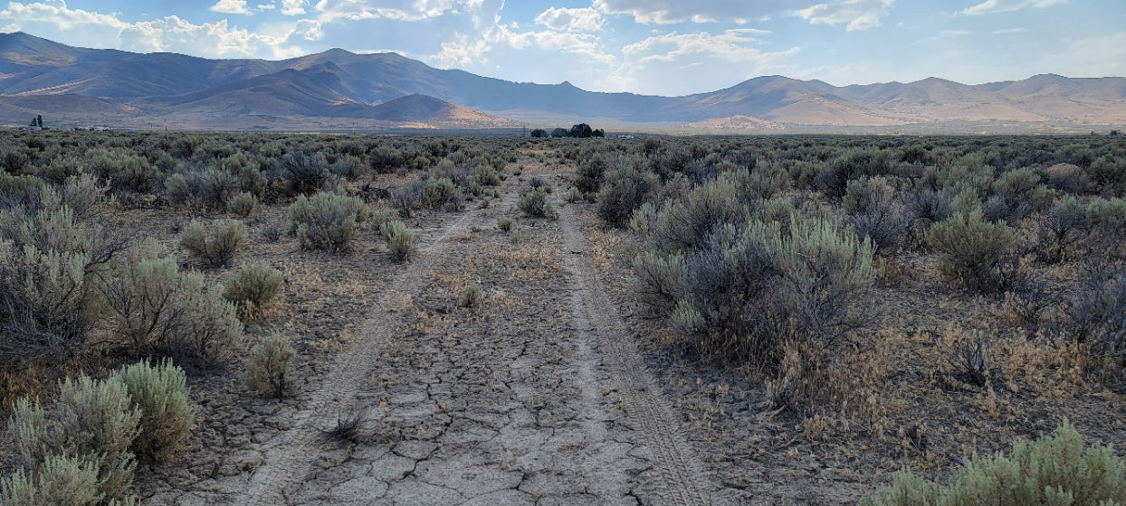 Amazing Views on this 10 Acre Lot For Sale in Nevada!