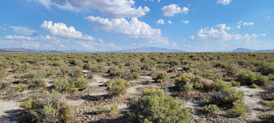 ¡Un lote de 10 acres disponible cerca de Winnemucca, Nevada!