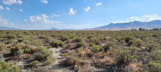 ¡Un lote de 10 acres disponible cerca de Winnemucca, Nevada!