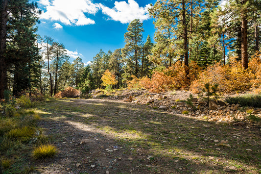 ¡Increíble terreno baldío de 1,19 acres en venta en Durango, Colorado!