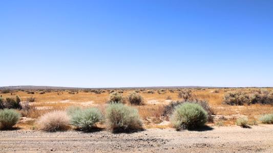 Wholesale Affordable Land in Kern County, California!