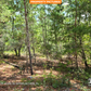 Amazing 0.35 Acre Vacant Lot in Interlachen, FL