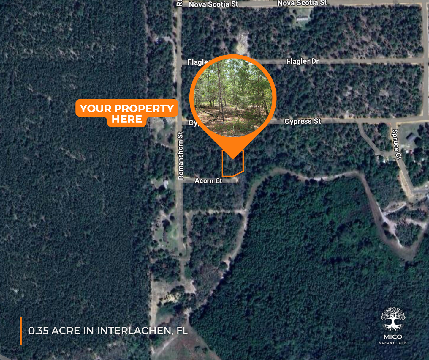 Amazing 0.35 Acre Vacant Lot in Interlachen, FL