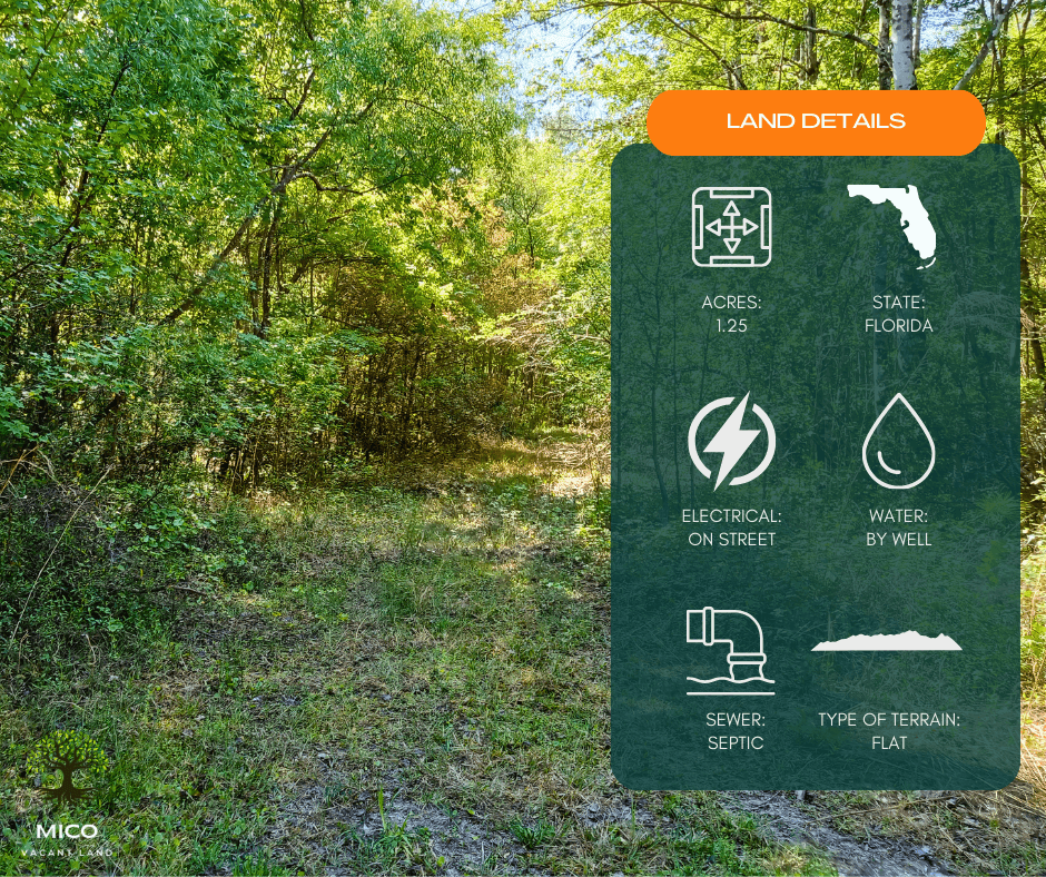 Prime 1.25 Acres in Palatka, FL!