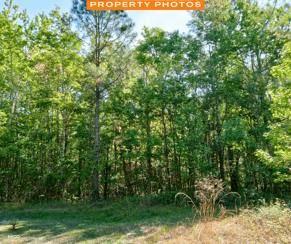 Prime 1.25 Acres in Palatka, FL!