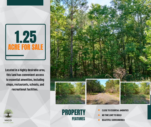 Prime 1.25 Acres in Palatka, FL!