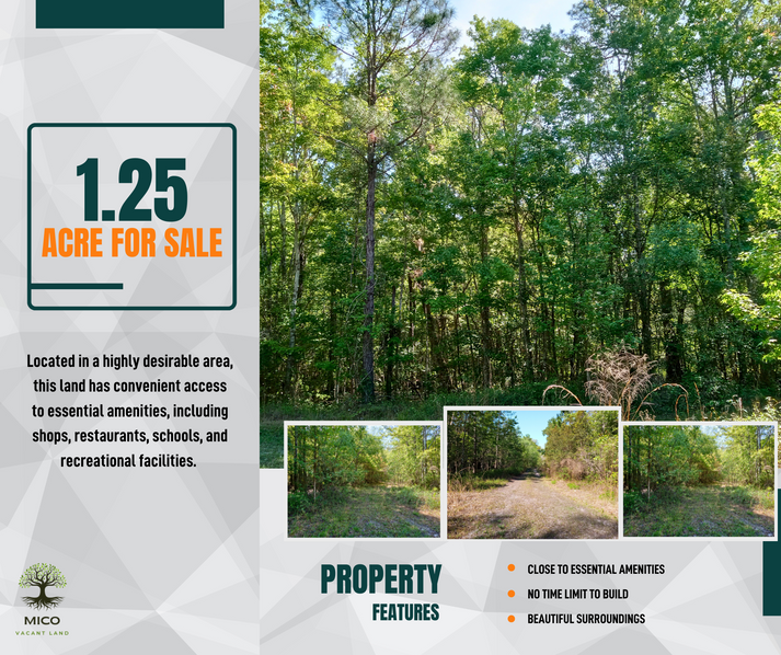 Prime 1.25 Acres in Palatka, FL! MICO VACANT LAND