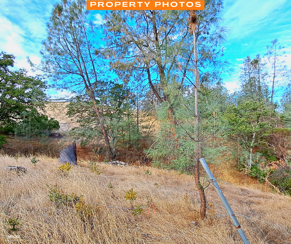 Amazing 1.26 Acres of Land for Sale in Tehama County