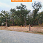 Discover the Beauty of Tehama: 1 Acre of Pristine Land in Tehama County, California!