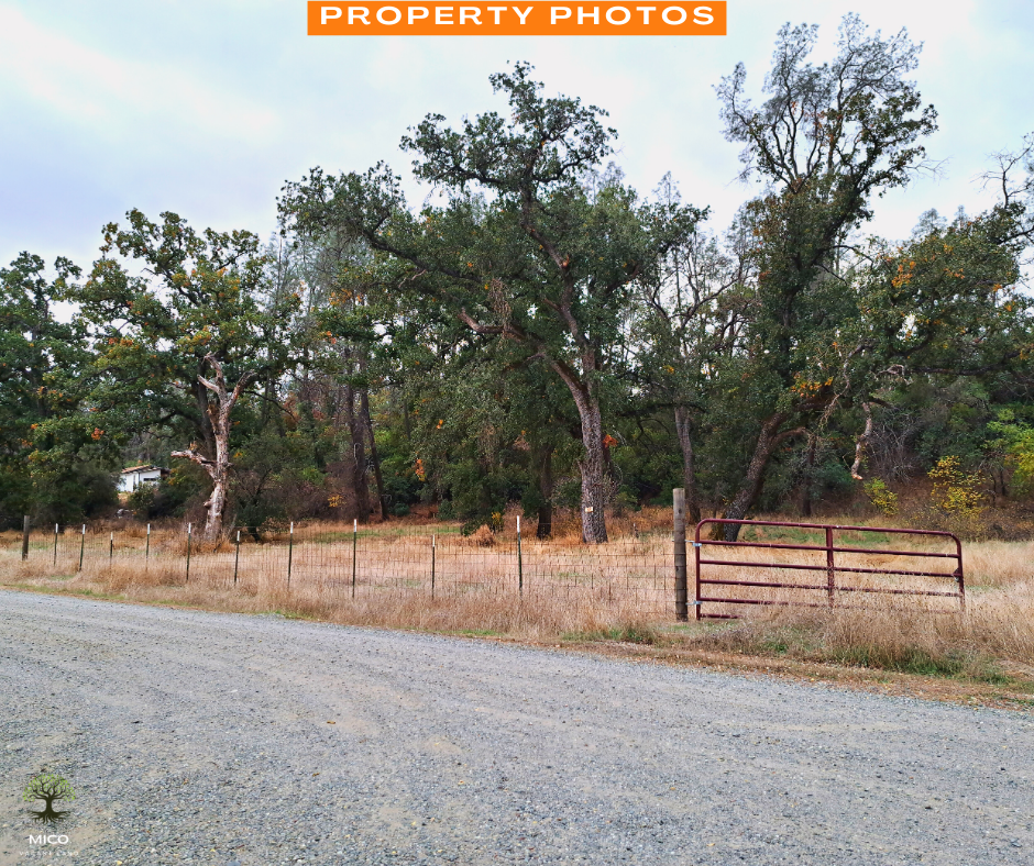 Discover the Beauty of Tehama: 1 Acre of Pristine Land in Tehama County, California!