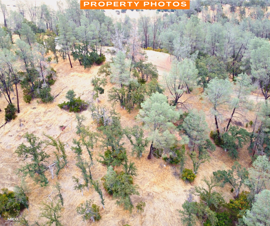 4.09 Acres Land For Sale in Tehama County