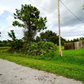 Amazing 0.398 Acre Corner Lot Available for Sale in Lehigh Acres, Florida!