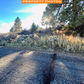 Prime Location: 0.59 acres in Klamath County, Oregon