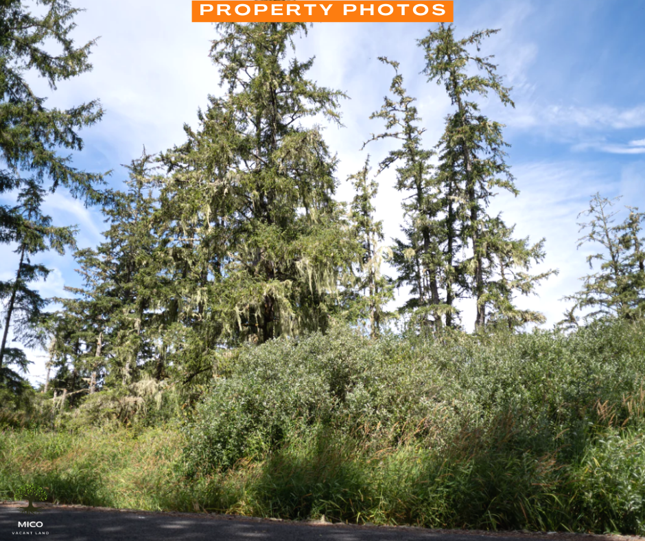 1.3 Acres of Vacant Residential Land for Sale in Long Beach, Washington!