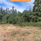 1.3 Acres of Vacant Residential Land for Sale in Long Beach, Washington!