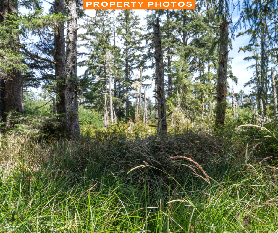 1.3 Acres of Vacant Residential Land for Sale in Long Beach, Washington!