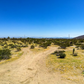 1.25-acre Land for Sale in Yucca Valley, CA!