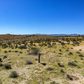 1.25-acre Land for Sale in Yucca Valley, CA!