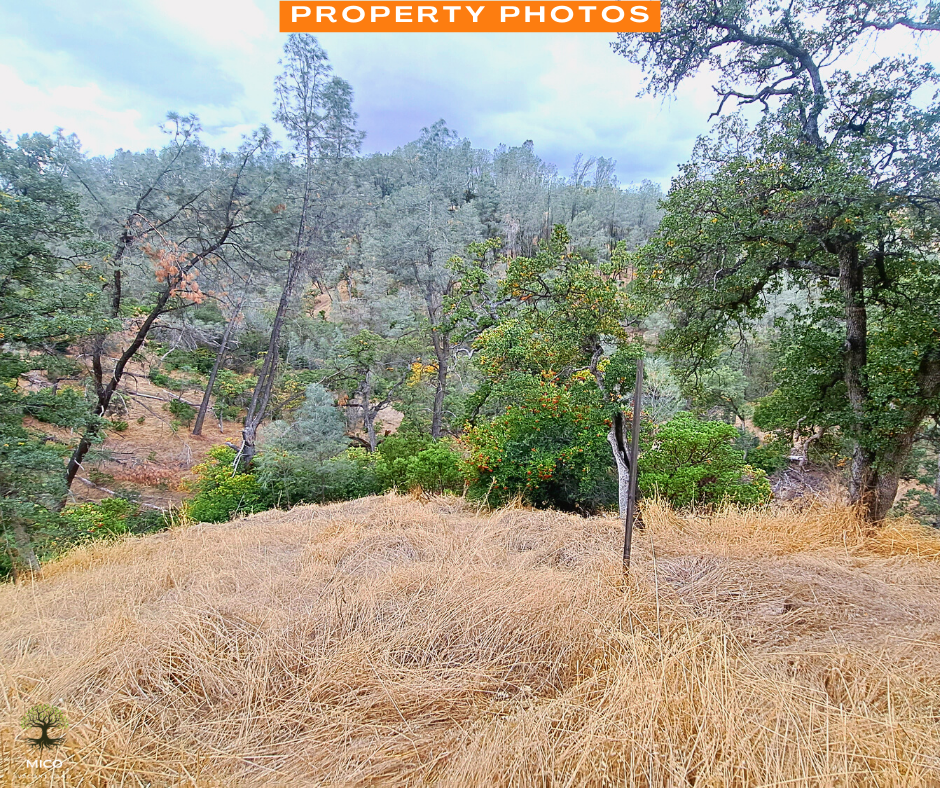 4.09 Acres Land For Sale in Tehama County