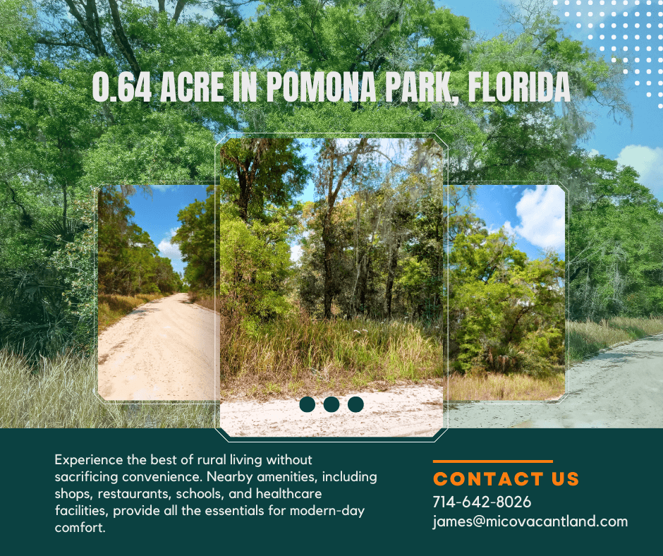 0.64 Acres in Pomona Park, FL!