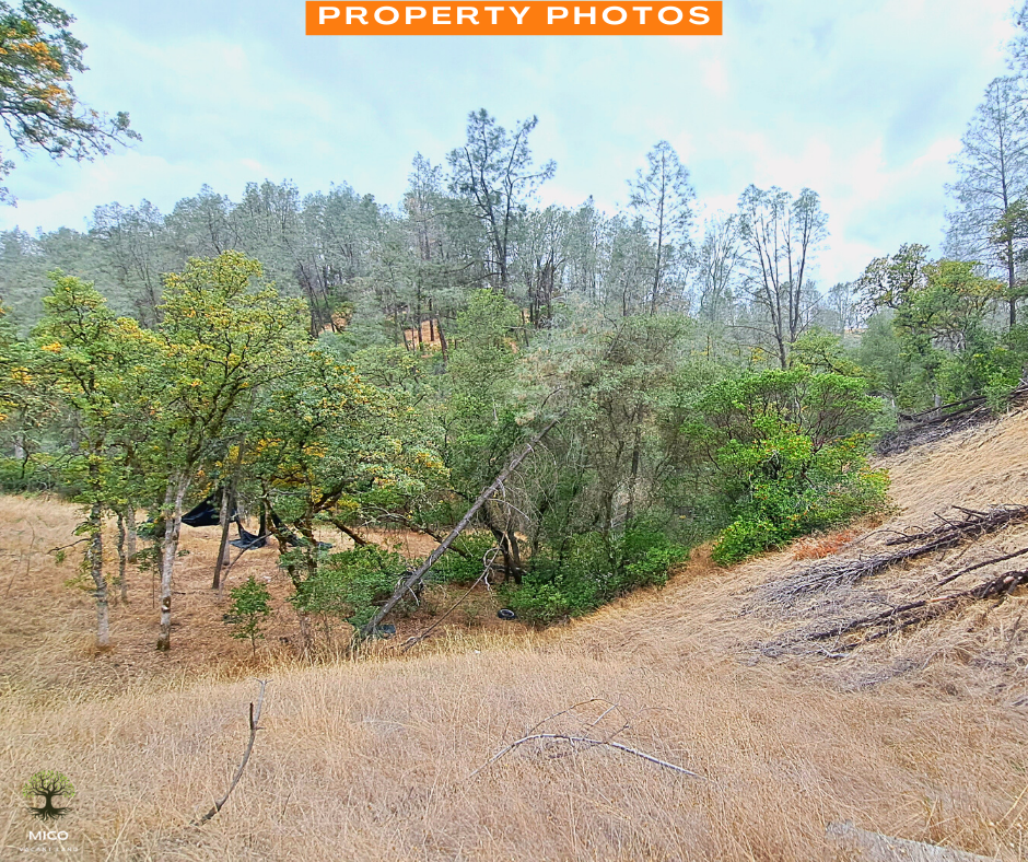 4.09 Acres Land For Sale in Tehama County