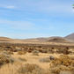 40 Acre Property for Sale in Winnemucca, NV!